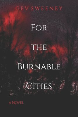 bokomslag For the Burnable Cities