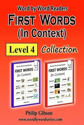 Philip Gibson - FIRST WORDS in Context: Level 4: Learn the important words first., Häftad