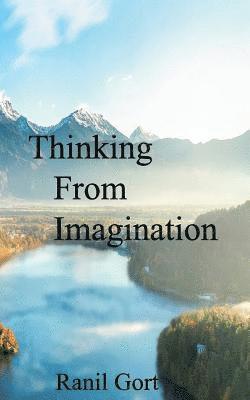 bokomslag Thinking From Imagination