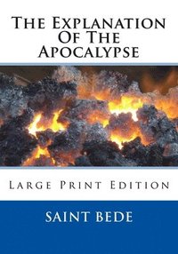 bokomslag The Explanation Of The Apocalypse: Large Print Edition