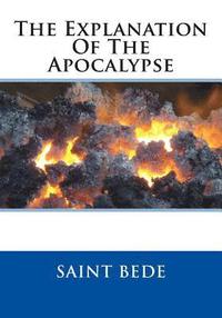 bokomslag The Explanation Of The Apocalypse