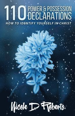 bokomslag 110 Power & Possession Declarations: How to Identify Yourself in Christ