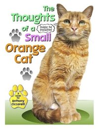 bokomslag The Thoughts of a Small Orange Cat