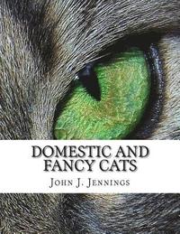 bokomslag Domestic and Fancy Cats: A Practical Treatise on Their Varieties, Breeding, Management and Diseases