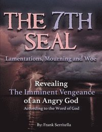 bokomslag The 7th Seal: Revealing the imminent vengeance of God on America, the World, and a Hypocritical religious system