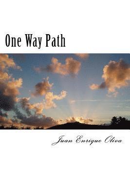 One Way Path 1