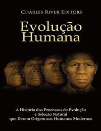 bokomslag Evolução humana: A História dos Processos de Evolução e Seleção Natural que Deram Origem aos Humanos Modernos