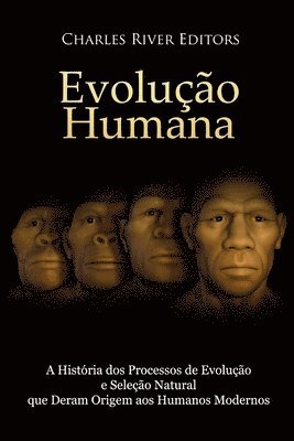Evolução humana: A História dos Processos de Evolução e Seleção Natural que Deram Origem aos Humanos Modernos