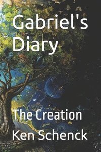 bokomslag Gabriel's Diary