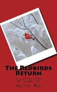 bokomslag The Redbirds Return