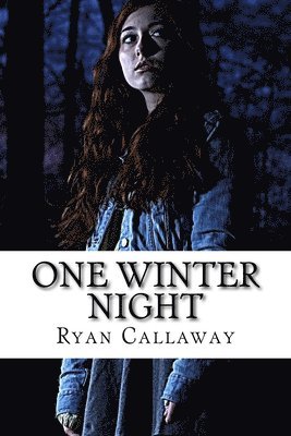 One Winter Night 1