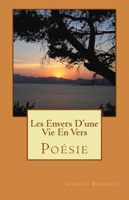 Les Envers D'une Vie En Vers 1