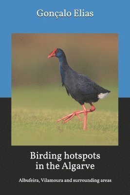 Gonçalo Elias - Birding hotspots in the Algarve: Albufeira, Vilamoura and surrounding areas, Häftad
