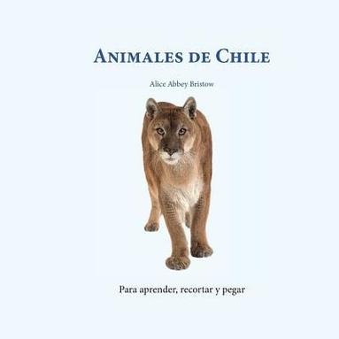 bokomslag Animales de Chile