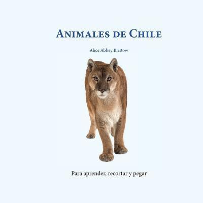 Animales de Chile 1