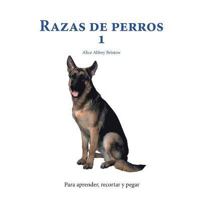 Razas de perros 1 1