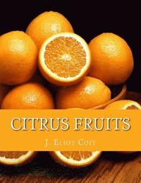 bokomslag Citrus Fruits: An Account of the Citrus Fruit Industry with Special Reference to California