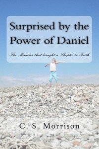 bokomslag Surprised by the Power of Daniel