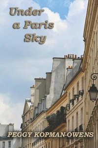 bokomslag Under a Paris Sky: Mrs Duchesney's Mystery on the Rooftops