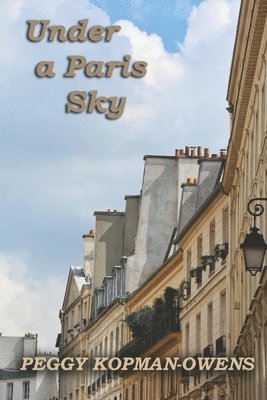 bokomslag Under a Paris Sky: Mrs Duchesney's Mystery on the Rooftops