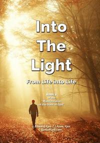 bokomslag Into The Light: From Life into Life