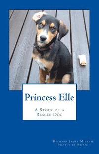 bokomslag Princess Elle: Adopting a Dog from a Rescue Group
