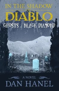 bokomslag In the Shadow of Diablo