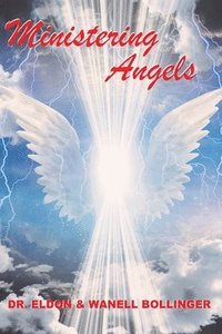 bokomslag Ministering Angels