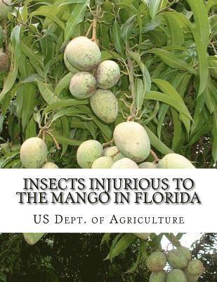 Insects Injurious To The Mango in Florida: Farmers' Bulletin 1257 1