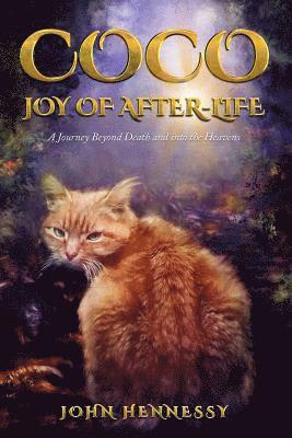 bokomslag Coco: Joy of After-Life (A Journey Beyond Death and into the Heavens)
