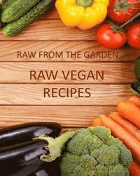 bokomslag Raw Vegan Recipes