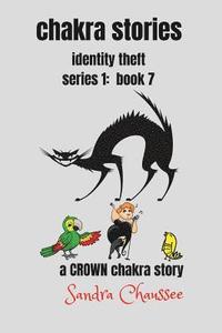 bokomslag chakra stories: identity theft - series 1: book 7