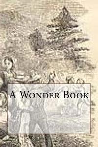 bokomslag A Wonder Book