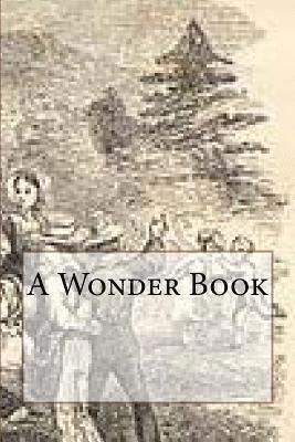 A Wonder Book 1