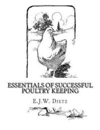 bokomslag Essentials of Successful Poultry Keeping