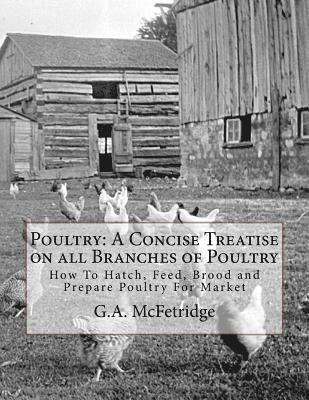 bokomslag Poultry: A Concise Treatise on all Branches of Poultry: How To Hatch, Feed, Brood and Prepare Poultry For Market