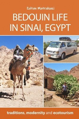 bokomslag Bedouin Life in Sinai, Egypt: traditions, modernity and ecotourism