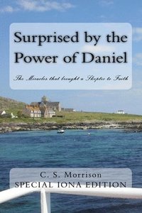 bokomslag Surprised by the Power of Daniel