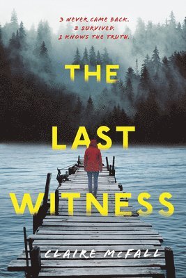 bokomslag The Last Witness