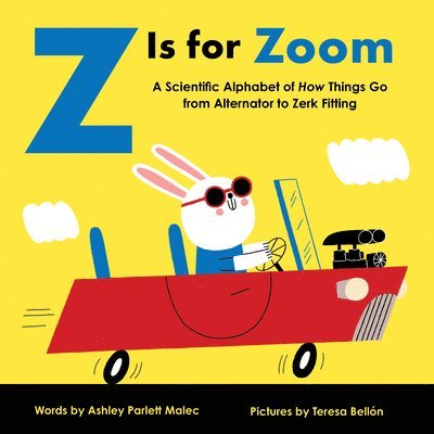 Z Is for Zoom 1