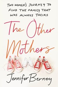 bokomslag The Other Mothers