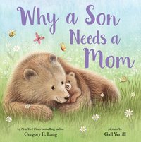 bokomslag Why a Son Needs a Mom