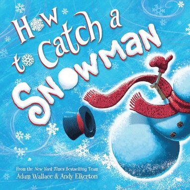 bokomslag How to Catch a Snowman