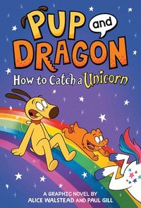bokomslag How to Catch Graphic Novels: How to Catch a Unicorn