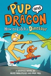 bokomslag How to Catch Graphic Novels: How to Catch a Dinosaur