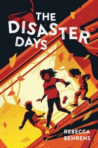 bokomslag The Disaster Days
