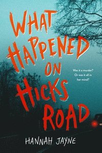 bokomslag What Happened on Hicks Road