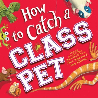 Alice Walstead - How to Catch a Class Pet, Inbunden