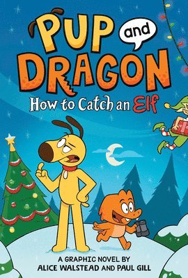 bokomslag How to Catch Graphic Novels: How to Catch an Elf