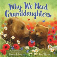 bokomslag Why We Need Granddaughters